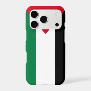 officially the State of Palestine country flag