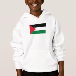 officially the State of Palestine country flag