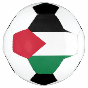 officially the State of Palestine country flag Football