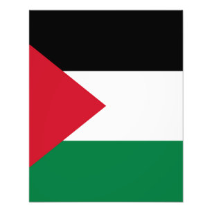 officially the State of Palestine country flag  Photo Print
