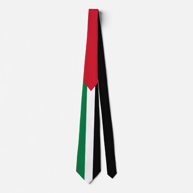 officially the State of Palestine country flag Tie (Front)