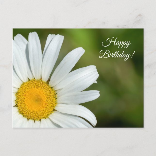 Offset Daisy Happy Birthday Postcard (Front)