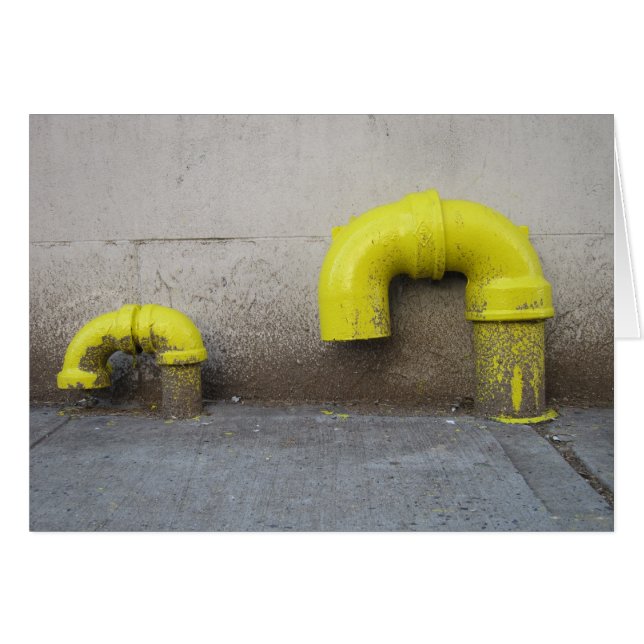 Offspring 5x7 (Front Horizontal)