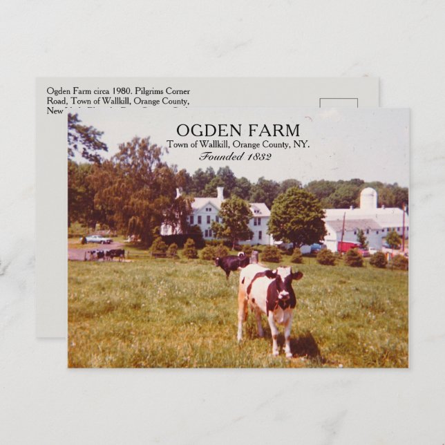 Ogden Farm Town of Wallkill Orange County NY 1980 Postcard (Front/Back)