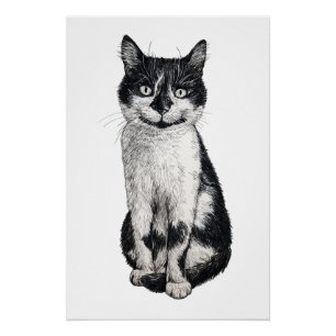 Ogie the cat poster