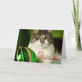 Oh, Bah Humbug Cat Card