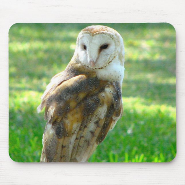 Oh Barn Owl Mouse Mat (Front)