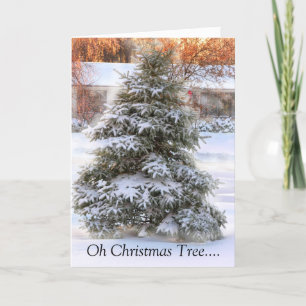 Oh Christmas Tree Holiday Card