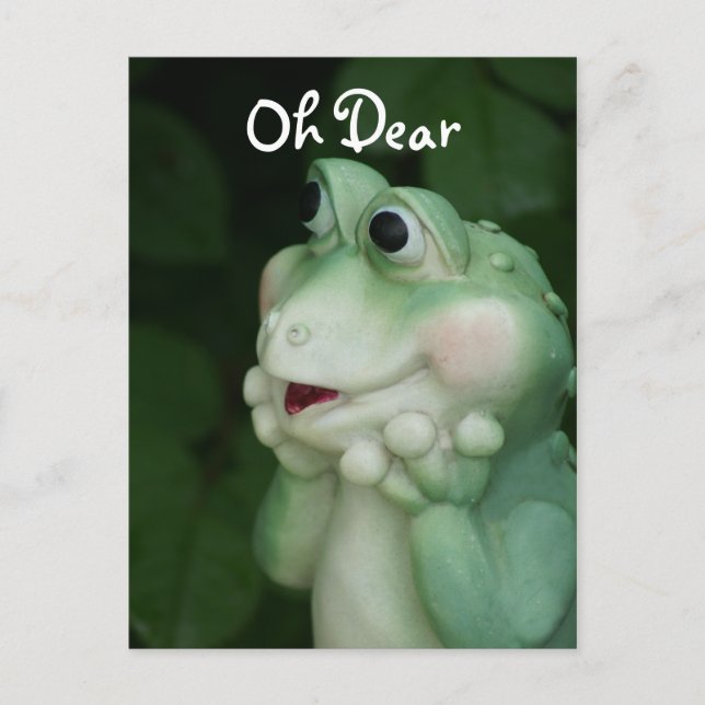 Oh Dear Frog- customise for any occasion Postcard (Front)