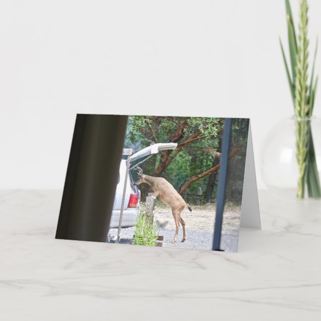 Oh Deer! Card (Front)