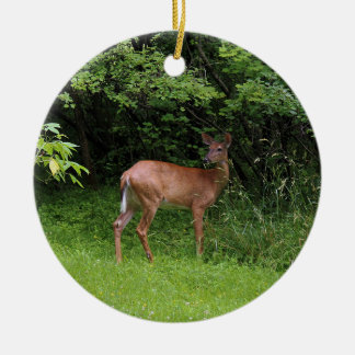 Oh Deer! Ceramic Tree Decoration