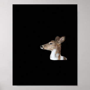Oh Deer Minimal Modern Design Poster