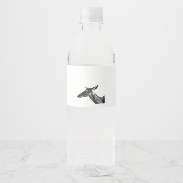 Oh Deer Modern Aesthetic Vibe  Water Bottle Label (Front)