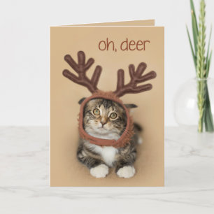 Oh Deer Reindeer Kitten Holiday Card
