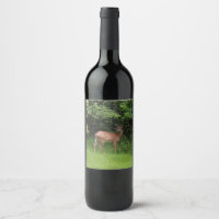 Oh Deer!
