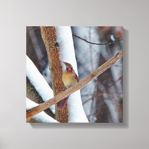 Oh great, and I just had my hair done! Canvas Print