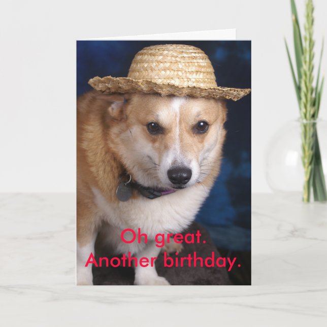 Oh great. Another birthday. Card (Front)