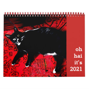 Oh Hai Cat Calendar