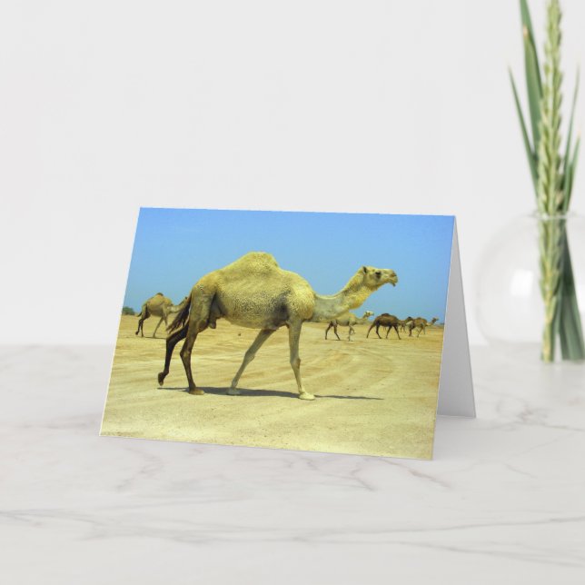Oh happy day - camels in the desert card (Front)