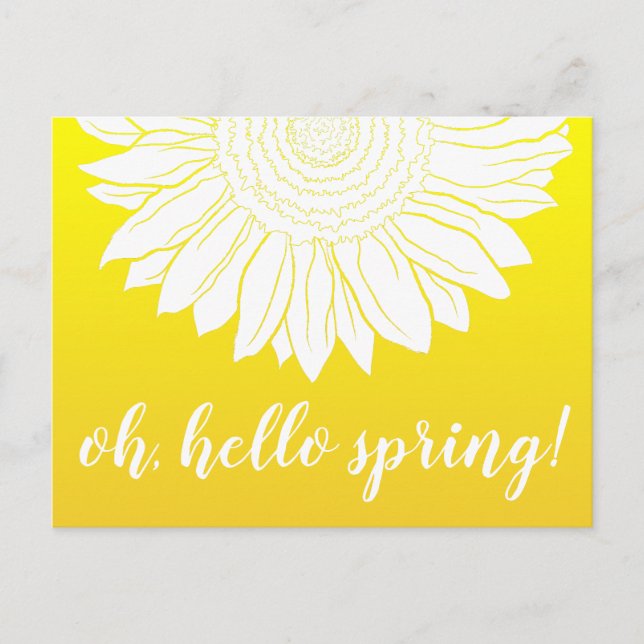 oh hello spring sunflower postcard (Front)