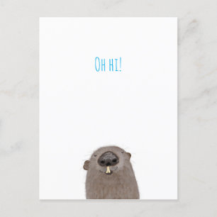 'Oh hi' groundhog postcard