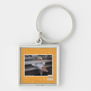 oh hi i upgraded your RAM Key Ring