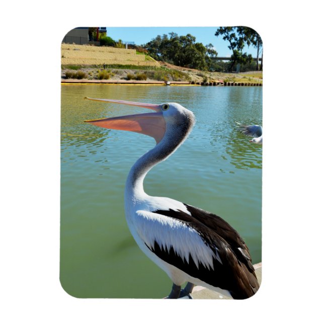 Oh Im A Happy Pelican Tra Lah, Magnet (Vertical)