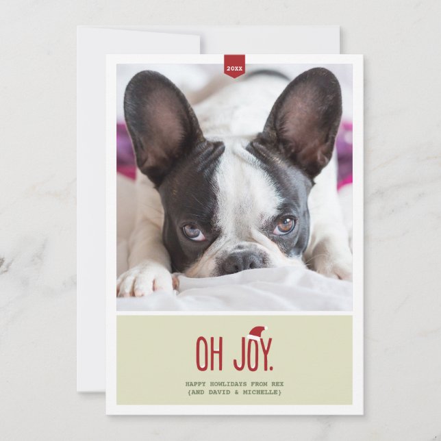 Oh Joy | Funny Holiday Photo Card (Front)