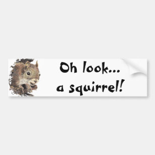 Oh look... a squirrel! Attention Humour Bumper Sticker