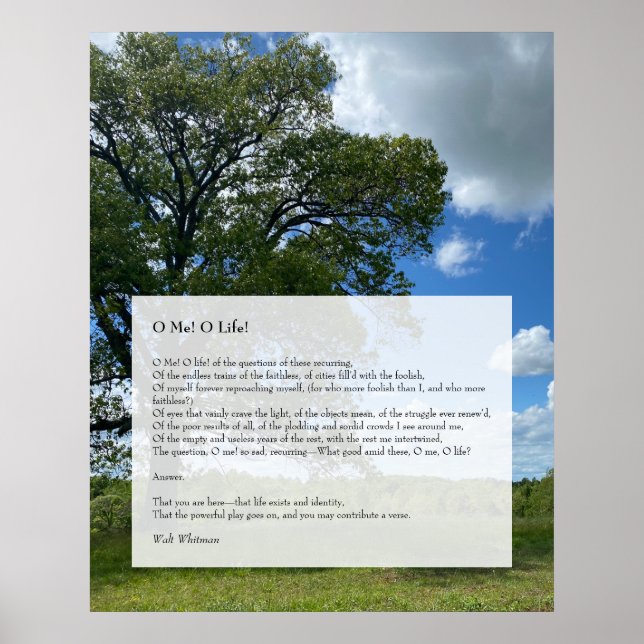 Oh Me! Oh Life! Walt Whitman Poem, Tree & Blue Sky Poster (Front)