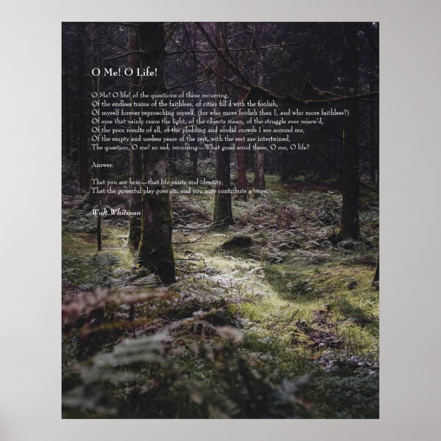 Oh Me! Oh Life! Walt Whitman Poem Wooded Path 3 Poster (Front)