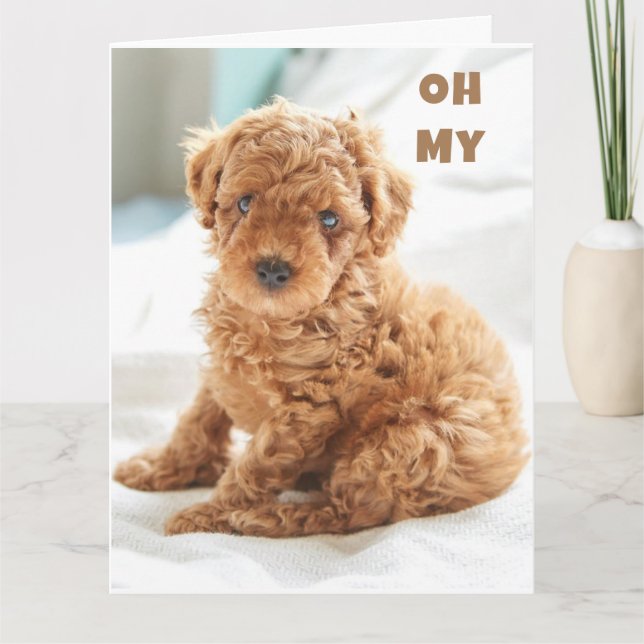 OH MY IT'S YOUR BIRTHDAY SO HAPPY FOR YOU! CARD (Front)