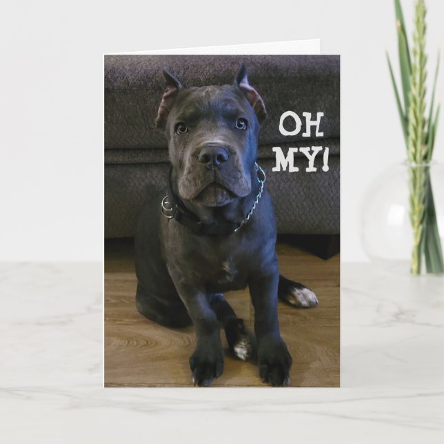 OH MY...YOU ARE TURNING "60" BIRTHDAY CARD (Front)