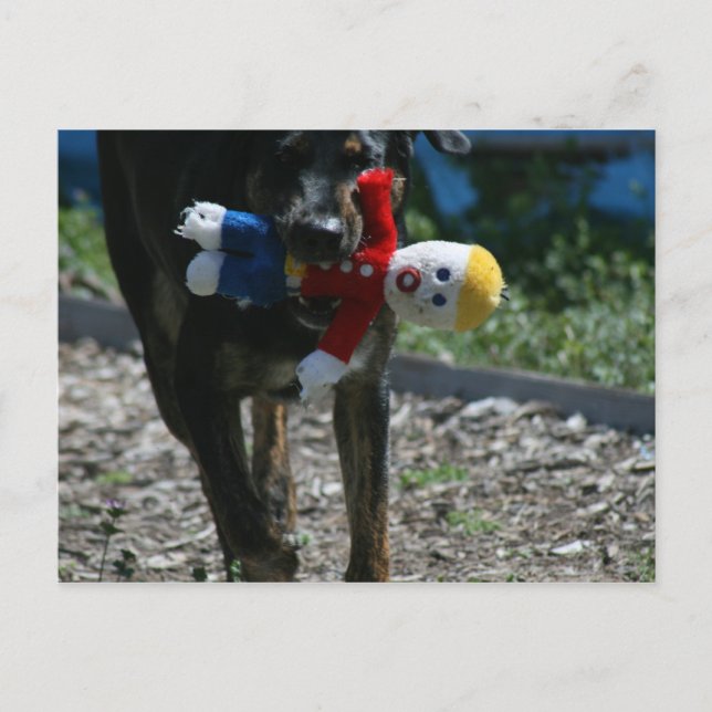 Oh-No Mr. Bill Postcard (Front)