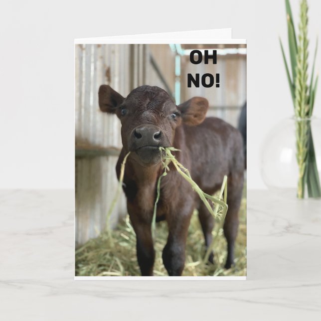 OH NO...YOU ARE **40** HAPPY BIRTHDAY CARD (Front)