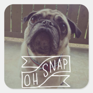 Oh Snap! Sticker
