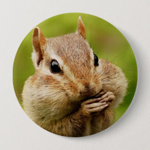 Oh So Cheeky Chipmunk Round Button