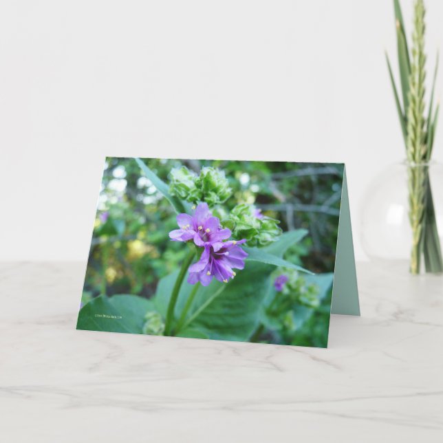 Oh So Purple Card (Front)