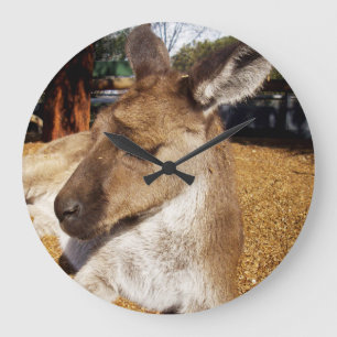 Oh So Sleepy Kangaroo, Large Clock