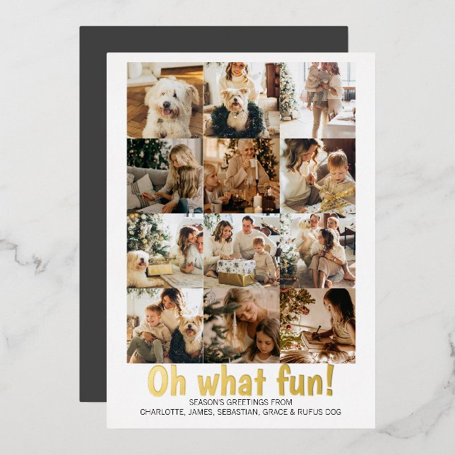 Oh What Fun 12 Photo Christmas Holiday Season (Front/Back)