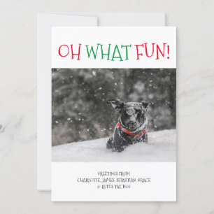 Oh What Fun Personalised Christmas Holiday Card
