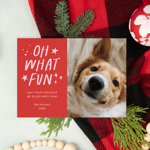 Oh What Fun Pets Photo Christmas Red Holiday Card