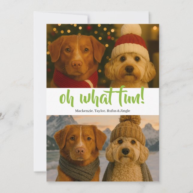 Oh What Fun Photo Christmas Personalised Holiday Card (Front)