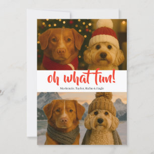 Oh What Fun Photo Christmas Personalised Holiday Card