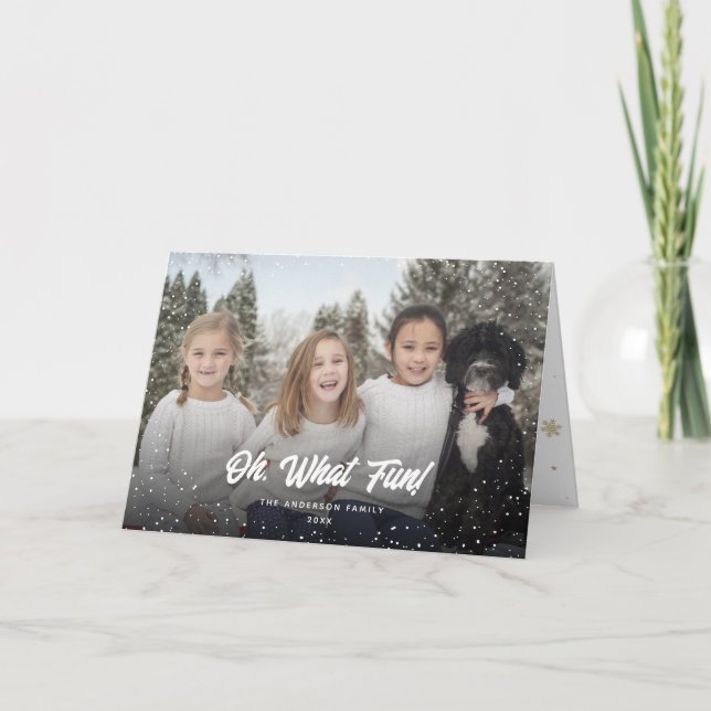 Oh, What Fun Snow Snowflakes Photo Holiday Card (Front)