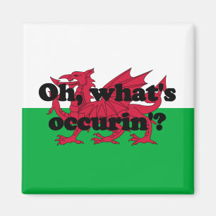 'Oh, what's occurin'?' Magnet