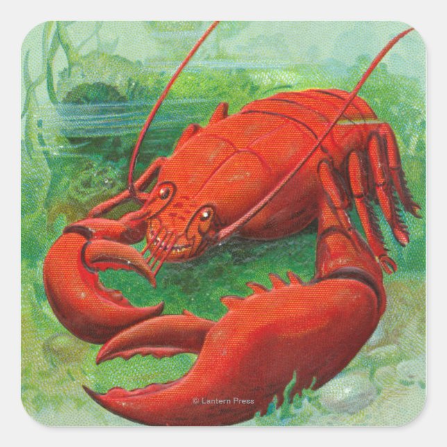 Oh You Lobster Scene Square Sticker (Front)