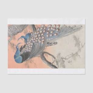 Ohara Koson   Two Peacocks on Tree Branch Tissue Paper