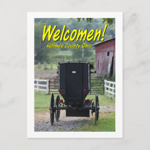 OHCA101.Amish Buggie - Holmes Co OH. Postcard