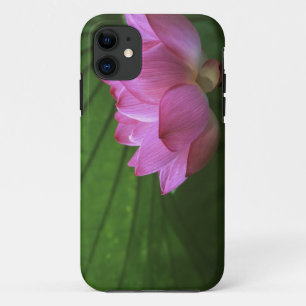 Ohga Lotus, Sankei-en Garden, Yokohama, Japan iPhone 11 Case